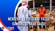 Mengenal Lebih Dekat...