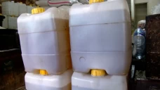 Beli Migor Pakai Peduli...