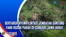 Bertaruh Nyawa Lintasi...