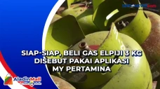 Siap-siap, Beli Gas...