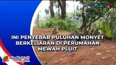 Ini Penyebab Puluhan...