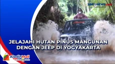 Jelajahi Hutan Pinus...