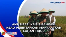 Antisipasi Krisis Pangan,...