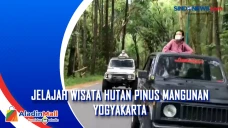 Jelajah Wisata Hutan...