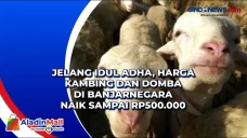 Jelang Idul Adha, Harga...