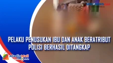 Pelaku Penusukan Ibu...