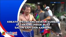 Kreatif, Pedagang Hewan...