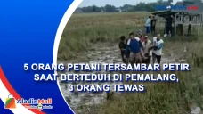 5 Orang Petani Tersambar...