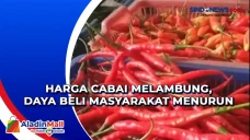 Harga Cabai Melambung,...