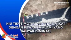 Hiu Tikus Motif Baru...