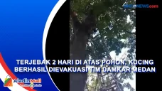 Terjebak 2 Hari di Atas...