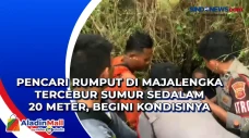 Pencari Rumput di Majalengka...