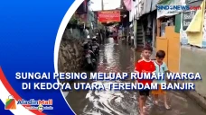 Sungai Pesing Meluap...