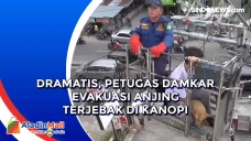 Dramatis, Petugas Damkar...