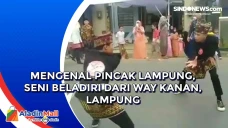 Mengenal Pincak Lampung,...
