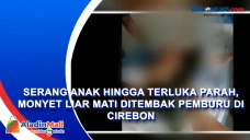 Serang Anak hingga Terluka...