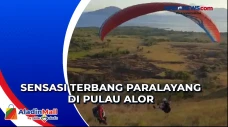 Sensasi Terbang Paralayang...