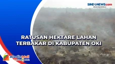 Ratusan Hektare Lahan...