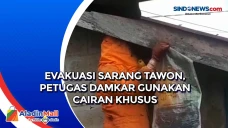 Evakuasi Sarang Tawon,...
