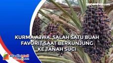 Kurma Ajwa, Salah Satu...