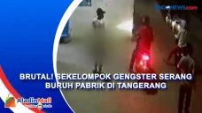Brutal! Sekelompok Gengster...