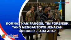 Komnas HAM Panggil Tim...