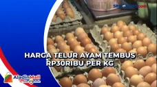 Harga Telur Ayam Tembus...