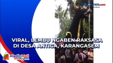 Viral, Lembu Ngaben...