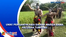Unik! Pengantin Padi...