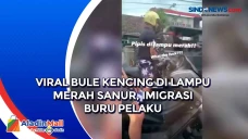 Viral Bule Kencing di...