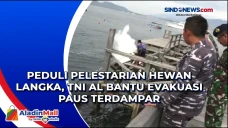 Peduli Pelestarian Hewan...