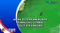 Anak Diterkam Buaya...
