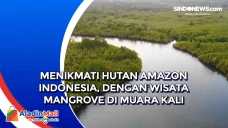 Menikmati Hutan Amazon...