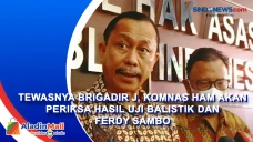 Tewasnya Brigadir J,...