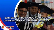 Bayi Wakili Ibu Kandung...