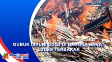 Gubuk Dihuni ODGJ di...