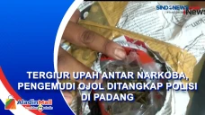Tergiur Upah Antar Narkoba,...