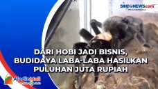 Dari Hobi jadi Bisnis,...