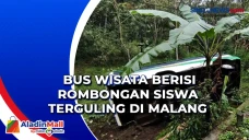 Bus Wisata Berisi Rombongan...