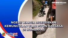 Ngeri! Warga Digegerkan...