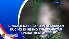 Brigjen NA Pelaku Penembakan...