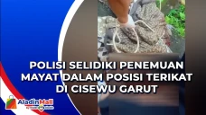 Polisi Selidiki Penemuan...