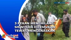 3 Pekan Menghilang,...