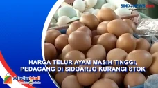 Harga Telur Ayam Masih...