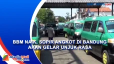 BBM Naik, Sopir Angkot...