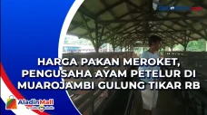 Harga Pakan Meroket,...