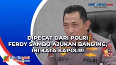 Dipecat dari Polri Ferdy...
