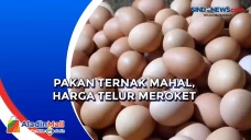 Pakan Ternak Mahal,...