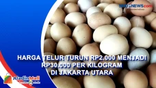 Harga Telur Turun Rp2.000...