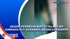 Geger! Penemuan Bayi...